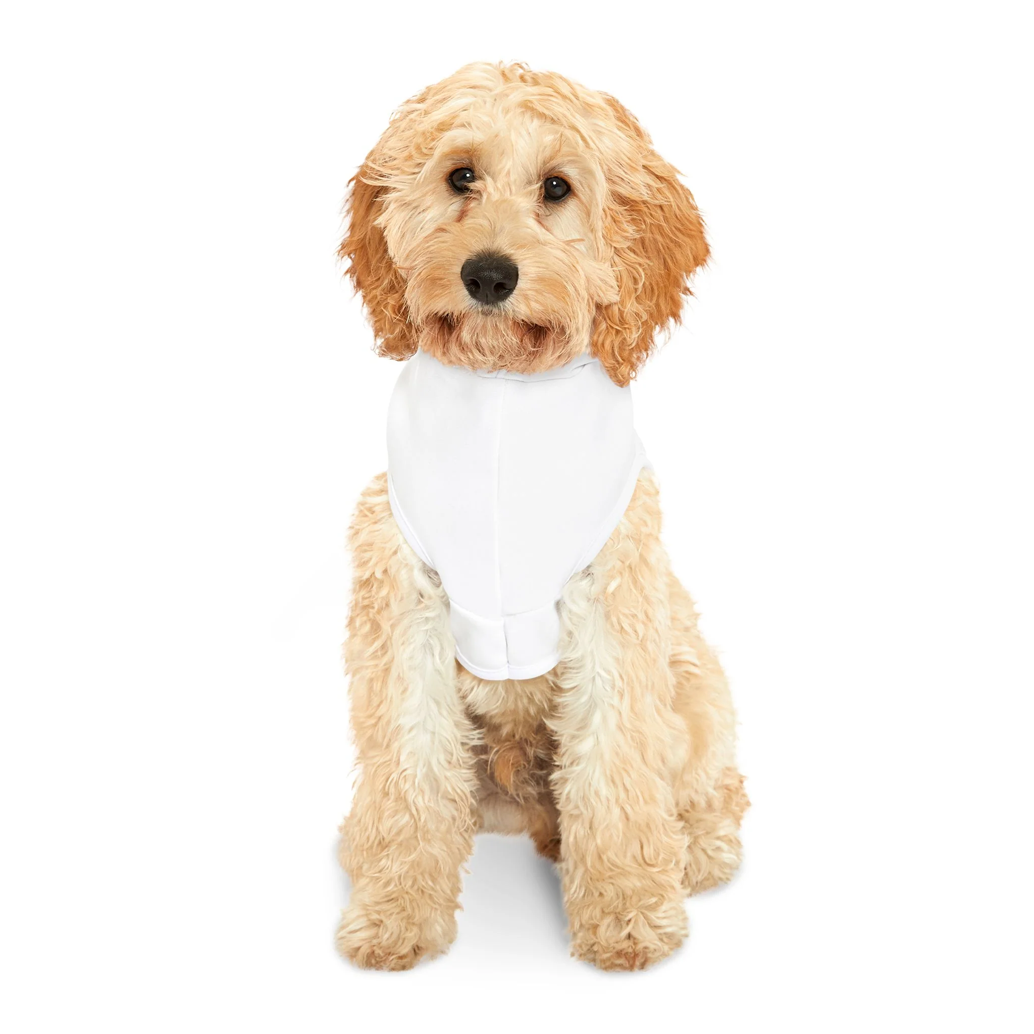 JLR© Army Pet Hoodie - Image 4